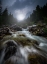 Picture of -LOST IN THE RIVER-