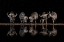 Picture of BUFFALOES IN THE WATERHOLE AT NIGHT