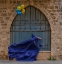 Picture of BALLOONS