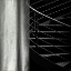 Picture of DISAPPEAR STAIRS