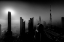 Picture of ROLLING MIST