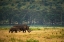 Picture of NAKURU FAMILY