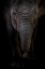 Picture of DUMBO
