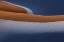 Picture of THE DESERT