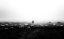 Picture of THE FLOCK IN THE FOG