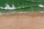 Picture of TURTLE SEASON