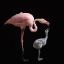 Picture of BECOME PINK