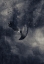 Picture of ICARUS