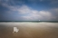 Picture of SAIL AWAY