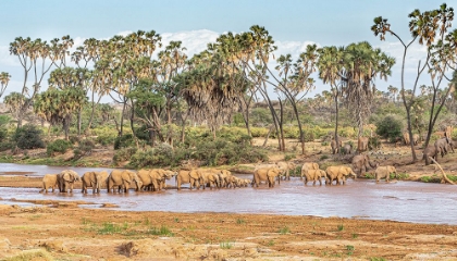 Picture of WHY GO TO EAST AFRICA?