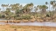 Picture of WHY GO TO EAST AFRICA?