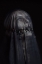 Picture of SPIDERS MISTRESS