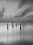 Picture of PALLENDORP PETTEN