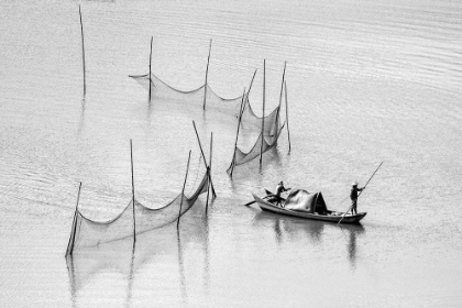 Picture of LETS SAILING
