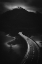Picture of CROSSING