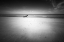 Picture of OMAHA BEACH TODAY