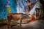 Picture of VARANASI ALLEY