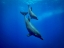 Picture of TO THE DEEP