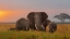 Picture of ELEPHENT FAMILY IN AMBOSELI
