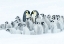 Picture of WE ARE A BIG FAMILY