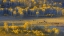 Picture of FALL SERENITY
