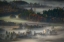 Picture of UNTITLED