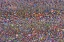 Picture of BIGGEST EID PRAYER
