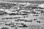 Picture of MASS OF BOATS