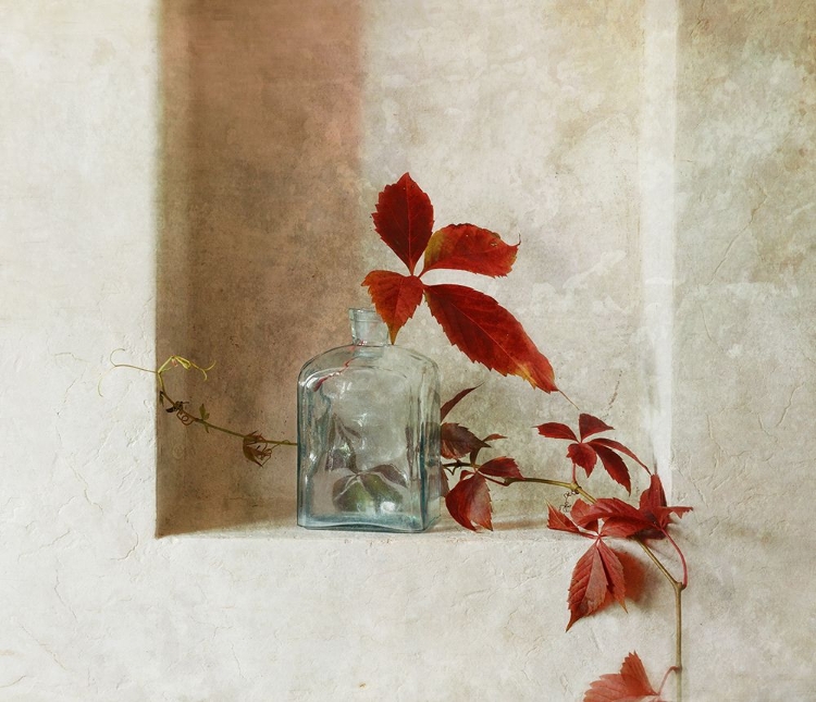 Picture of WITH A BRANCH OF WILD GRAPES