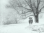 Picture of THROUGH THE SNOWFALL
