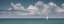 Picture of SAILING