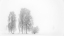 Picture of WINTERSTIMMUNG