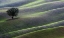 Picture of LANDSCAPE