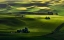 Picture of EARLY MORNING IN THE SPRING