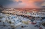 Picture of HENNINGSVAER