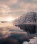 Picture of ICE SLOWLY TAKING OVER THE LAKE