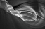 Picture of ROCK WAVE