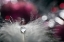 Picture of STORIES OF DROPS