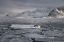 Picture of IN THE FJORD