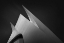 Picture of SAILS 05