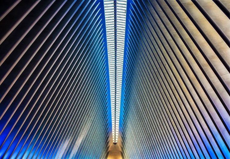 Picture of WINGS OF HOPE