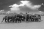 Picture of BIG FAMILY