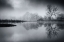 Picture of ARAE?