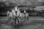 Picture of SQUADRON