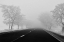 Picture of DAYS OF MIST