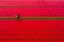 Picture of BICYCLE ON RED CLOTHS