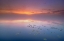 Picture of UNTITLED