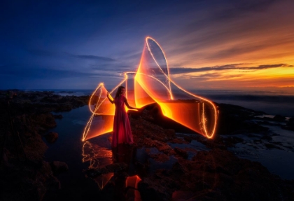 Picture of THE LIGHT DANCE