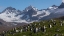 Picture of THE EDEN OF PENGUINS