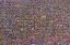 Picture of LARGEST EID CONGREGATION